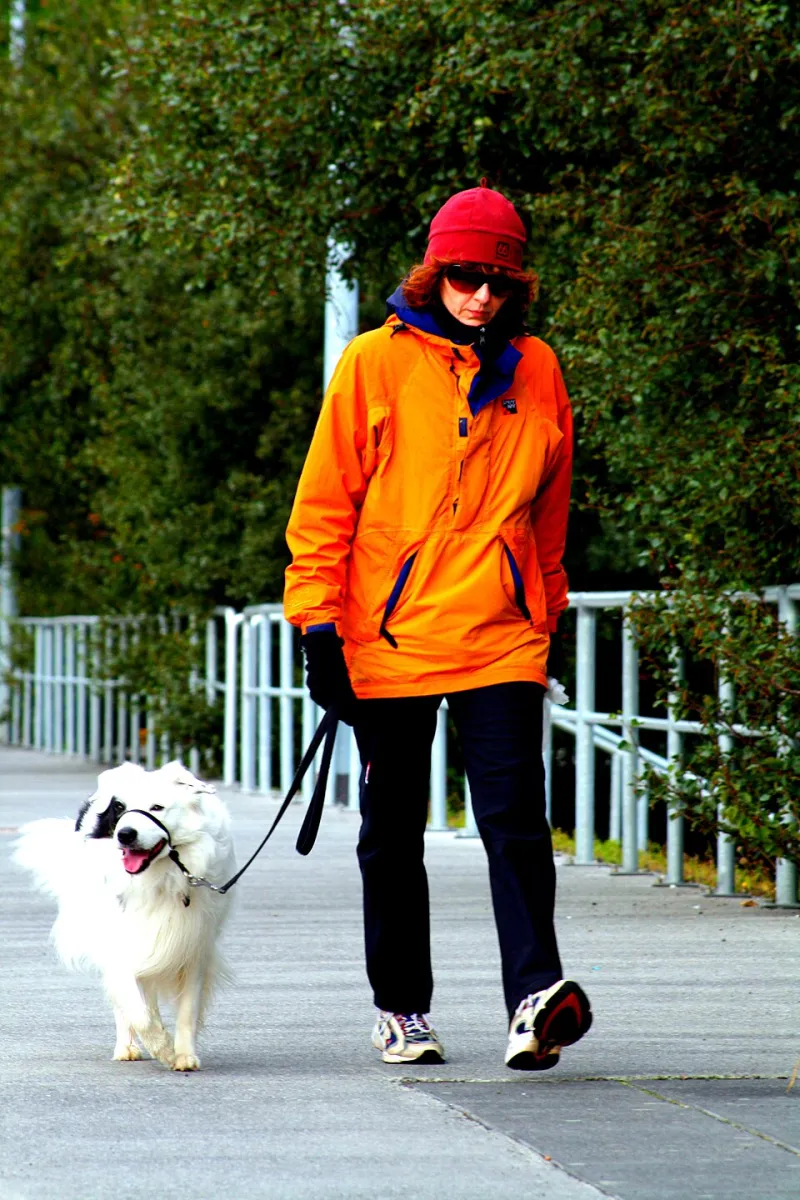 The Hidden Dividend of Walking: Counting the True Returns of a Pedestrian-Friendly Address