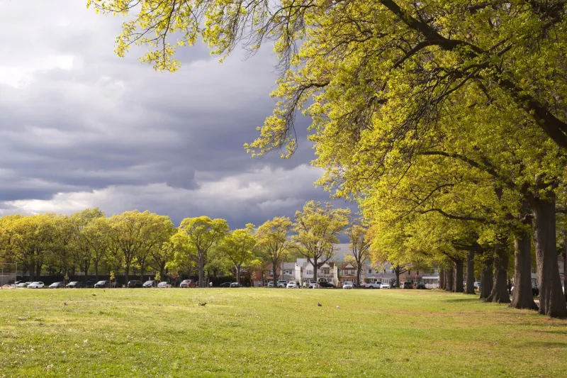 Priced Below Its Own Potential: The Quiet Mispricing of Scarsdale Real Estate